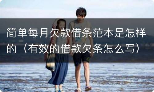 简单每月欠款借条范本是怎样的（有效的借款欠条怎么写）
