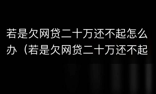 若是欠网贷二十万还不起怎么办（若是欠网贷二十万还不起怎么办呀）