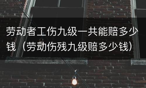 劳动者工伤九级一共能赔多少钱（劳动伤残九级赔多少钱）