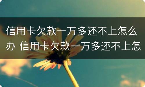 信用卡欠款一万多还不上怎么办 信用卡欠款一万多还不上怎么办呀