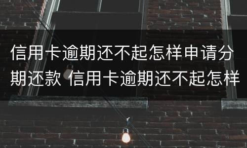 信用卡逾期还不起怎样申请分期还款 信用卡逾期还不起怎样申请分期还款还不上