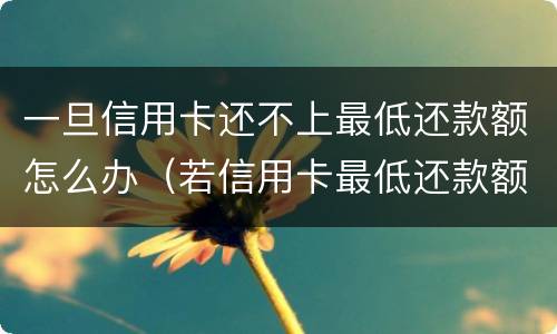 一旦信用卡还不上最低还款额怎么办（若信用卡最低还款额度还不上）