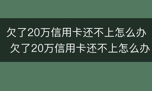 欠了20万信用卡还不上怎么办 欠了20万信用卡还不上怎么办,不想还了