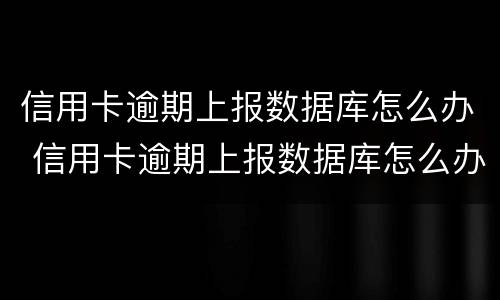 信用卡逾期上报数据库怎么办 信用卡逾期上报数据库怎么办啊