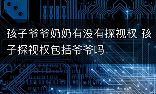 孩子爷爷奶奶有没有探视权 孩子探视权包括爷爷吗
