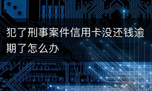 犯了刑事案件信用卡没还钱逾期了怎么办