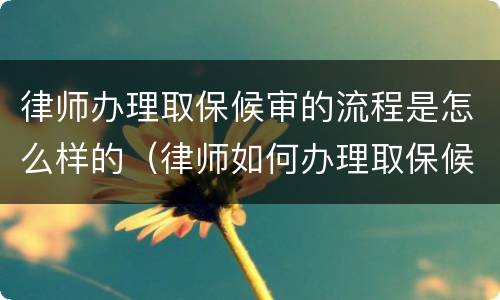 律师办理取保候审的流程是怎么样的（律师如何办理取保候审?）