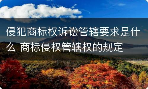 侵犯商标权诉讼管辖要求是什么 商标侵权管辖权的规定