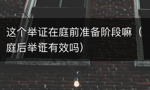 这个举证在庭前准备阶段嘛（庭后举证有效吗）