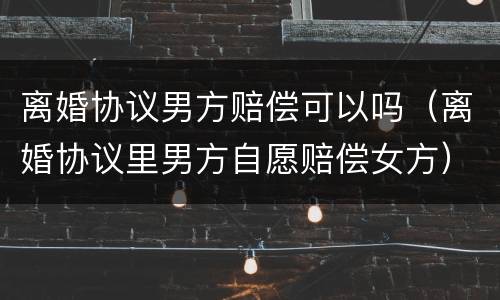 离婚协议男方赔偿可以吗（离婚协议里男方自愿赔偿女方）