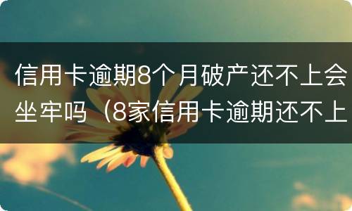 信用卡逾期8个月破产还不上会坐牢吗(8家信用卡逾期还不上8家银行都会起诉吗)
