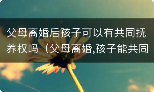 父母离婚后孩子可以有共同抚养权吗（父母离婚,孩子能共同抚养权吗）