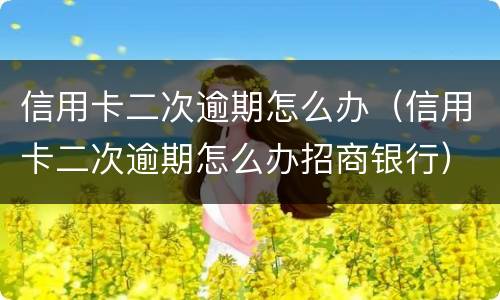 信用卡二次逾期怎么办（信用卡二次逾期怎么办招商银行）