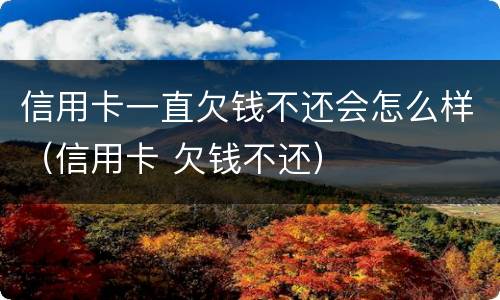 信用卡一直欠钱不还会怎么样（信用卡 欠钱不还）