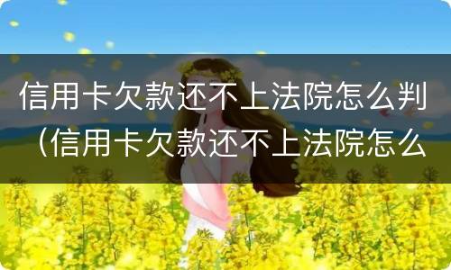 信用卡欠款还不上法院怎么判（信用卡欠款还不上法院怎么判的）