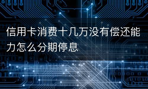 信用卡消费十几万没有偿还能力怎么分期停息
