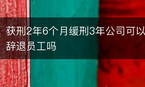 获刑2年6个月缓刑3年公司可以辞退员工吗