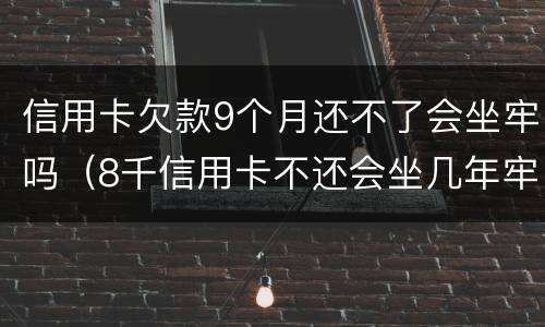 信用卡欠款9个月还不了会坐牢吗（8千信用卡不还会坐几年牢）