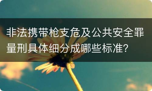 非法携带枪支危及公共安全罪量刑具体细分成哪些标准？