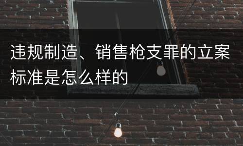 违规制造、销售枪支罪的立案标准是怎么样的