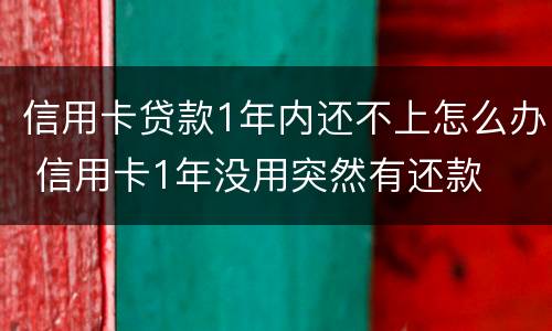 信用卡贷款1年内还不上怎么办 信用卡1年没用突然有还款