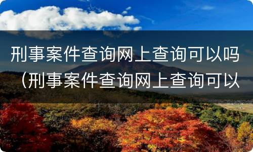 刑事案件查询网上查询可以吗（刑事案件查询网上查询可以吗）
