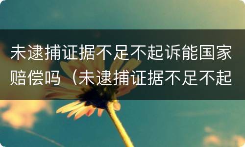 未逮捕证据不足不起诉能国家赔偿吗（未逮捕证据不足不起诉能国家赔偿吗多少钱）