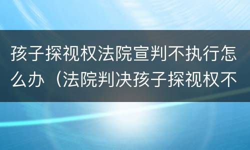 孩子探视权法院宣判不执行怎么办（法院判决孩子探视权不履行怎么办）
