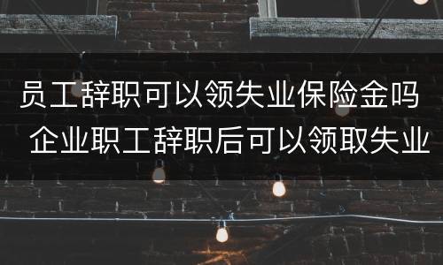 员工辞职可以领失业保险金吗 企业职工辞职后可以领取失业保险金吗?