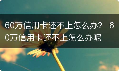 60万信用卡还不上怎么办？ 60万信用卡还不上怎么办呢
