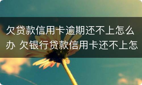 欠贷款信用卡逾期还不上怎么办 欠银行贷款信用卡还不上怎么办
