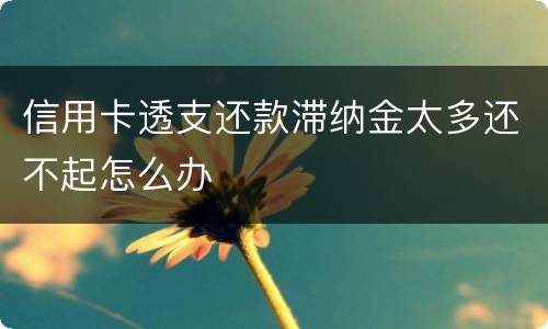信用卡透支还款滞纳金太多还不起怎么办