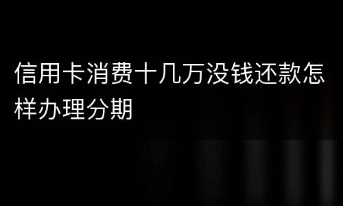 信用卡消费十几万没钱还款怎样办理分期