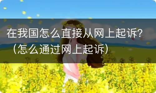 在我国怎么直接从网上起诉？（怎么通过网上起诉）