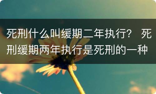 死刑什么叫缓期二年执行？ 死刑缓期两年执行是死刑的一种吗