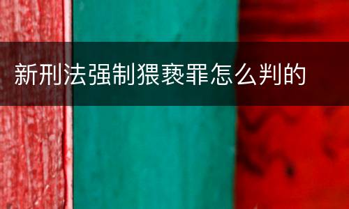 新刑法强制猥亵罪怎么判的