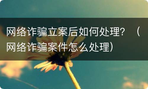 网络诈骗立案后如何处理？（网络诈骗案件怎么处理）