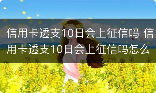 信用卡透支10日会上征信吗 信用卡透支10日会上征信吗怎么办