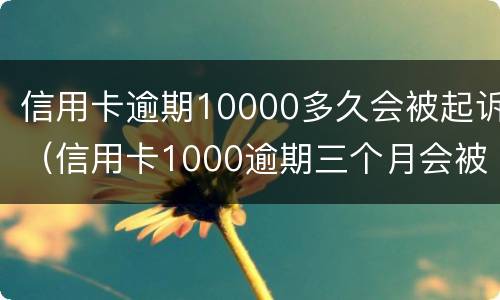 信用卡逾期10000多久会被起诉（信用卡1000逾期三个月会被起诉吗）