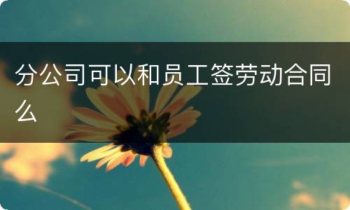 分公司可以和员工签劳动合同么