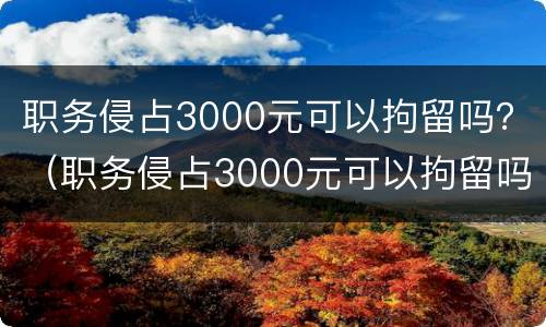 职务侵占3000元可以拘留吗？（职务侵占3000元可以拘留吗多少天）