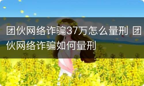 团伙网络诈骗37万怎么量刑 团伙网络诈骗如何量刑