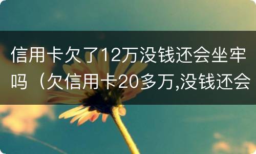 信用卡欠了12万没钱还会坐牢吗（欠信用卡20多万,没钱还会坐牢吗）