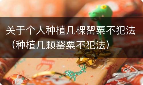 关于个人种植几棵罂粟不犯法（种植几颗罂粟不犯法）