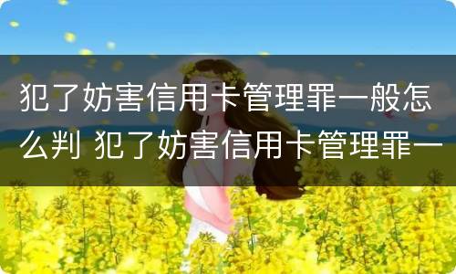 犯了妨害信用卡管理罪一般怎么判 犯了妨害信用卡管理罪一般怎么判决