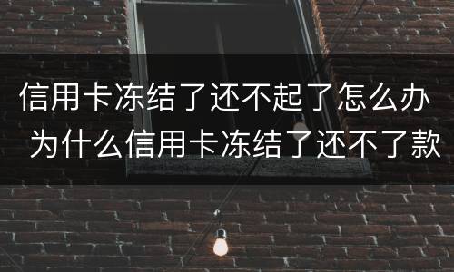 信用卡冻结了还不起了怎么办 为什么信用卡冻结了还不了款