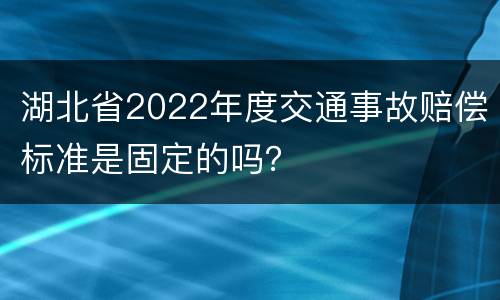 湖北省2022年度交通事故赔偿标准是固定的吗？