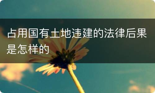 占用国有土地违建的法律后果是怎样的