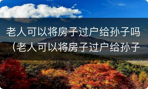 老人可以将房子过户给孙子吗（老人可以将房子过户给孙子吗要交税吗）