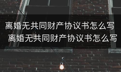 离婚无共同财产协议书怎么写 离婚无共同财产协议书怎么写的
